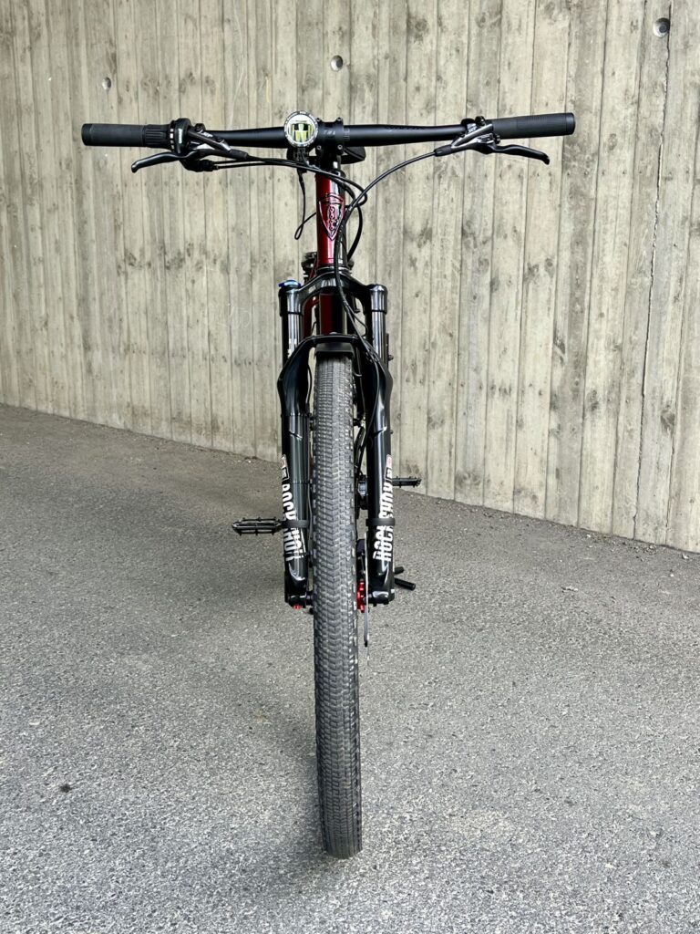 Fillet brazed Rahmenbau Stahlrahmen Maßgeschneidert Pinion Shimano RockShox Hope Two Face Grip Shift Racktime SKF Louie SON LED Licht Bike Fahrrad 